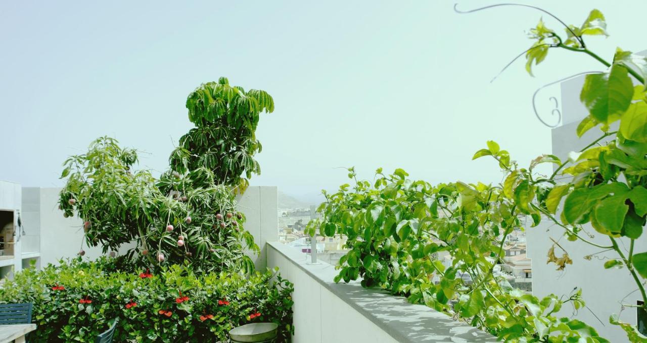 Villa Royale Trespalomas ماسبالوماس المظهر الخارجي الصورة